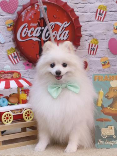 20230902ポルくん